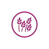 a neon sign with a pink outline