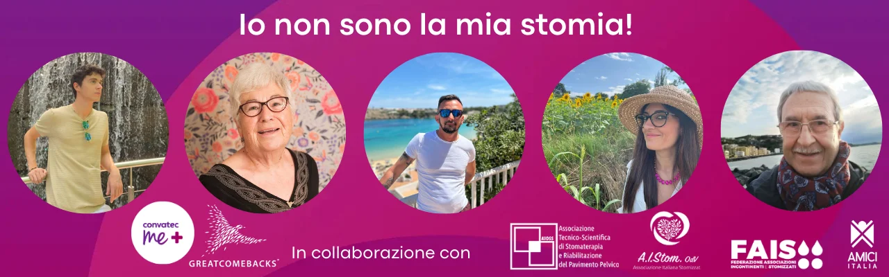 interfaccia utente grafica, sito web