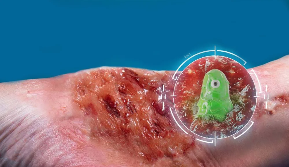 Ein grüner Frosch in der Hand einer Person