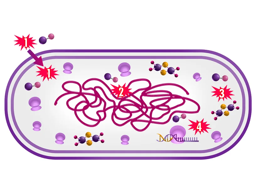 a colorful puzzle game